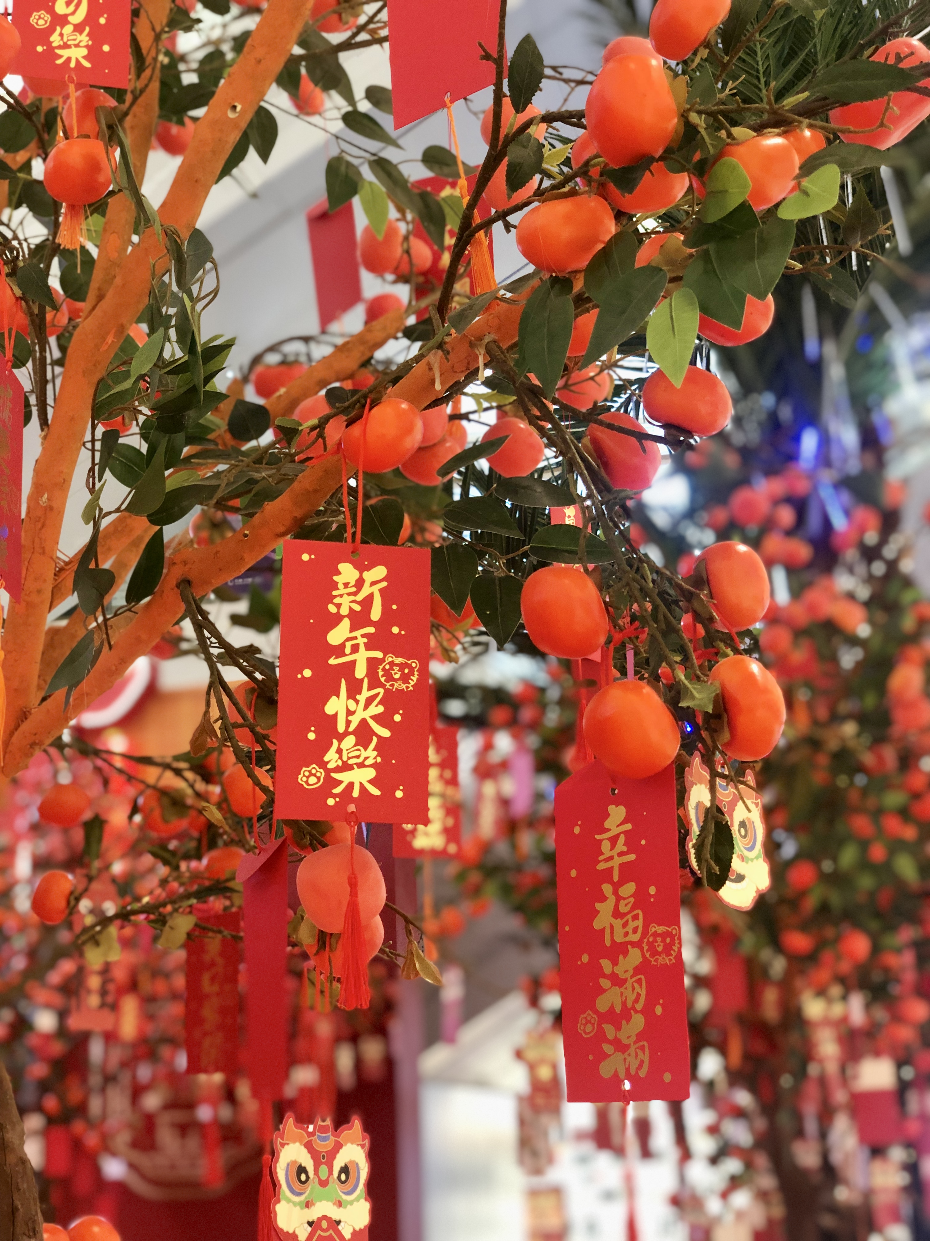 1644989919222646.jpg 微信图片_20220124175137.jpg